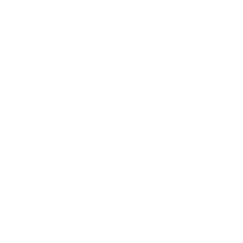 ikona
