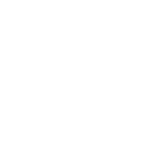 ikona