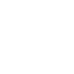 ikona